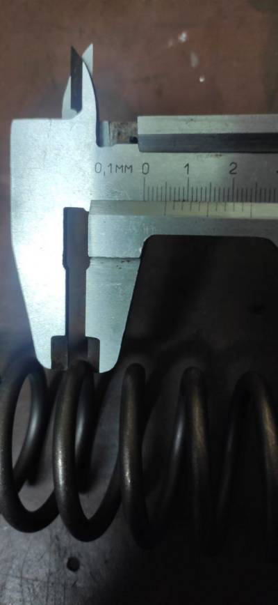 fork_spring_4.jpg fork_spring_4.jpg