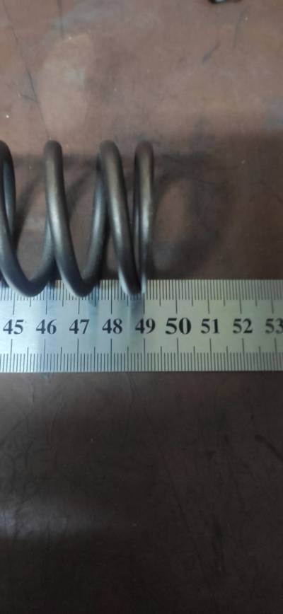 fork_spring_2.jpg fork_spring_2.jpg